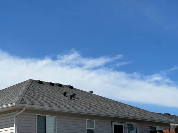 Best Roof Moss and Algae Removal  in Cowan, TN